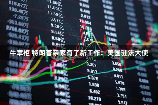 牛掌柜 特朗普亲家有了新工作：美国驻法大使