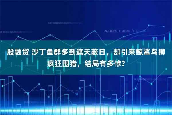 股融贷 沙丁鱼群多到遮天蔽日，却引来鲸鲨鸟狮疯狂围猎，结局有多惨?