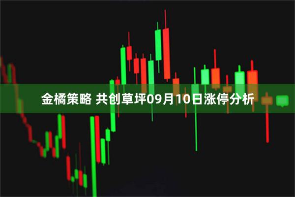金橘策略 共创草坪09月10日涨停分析
